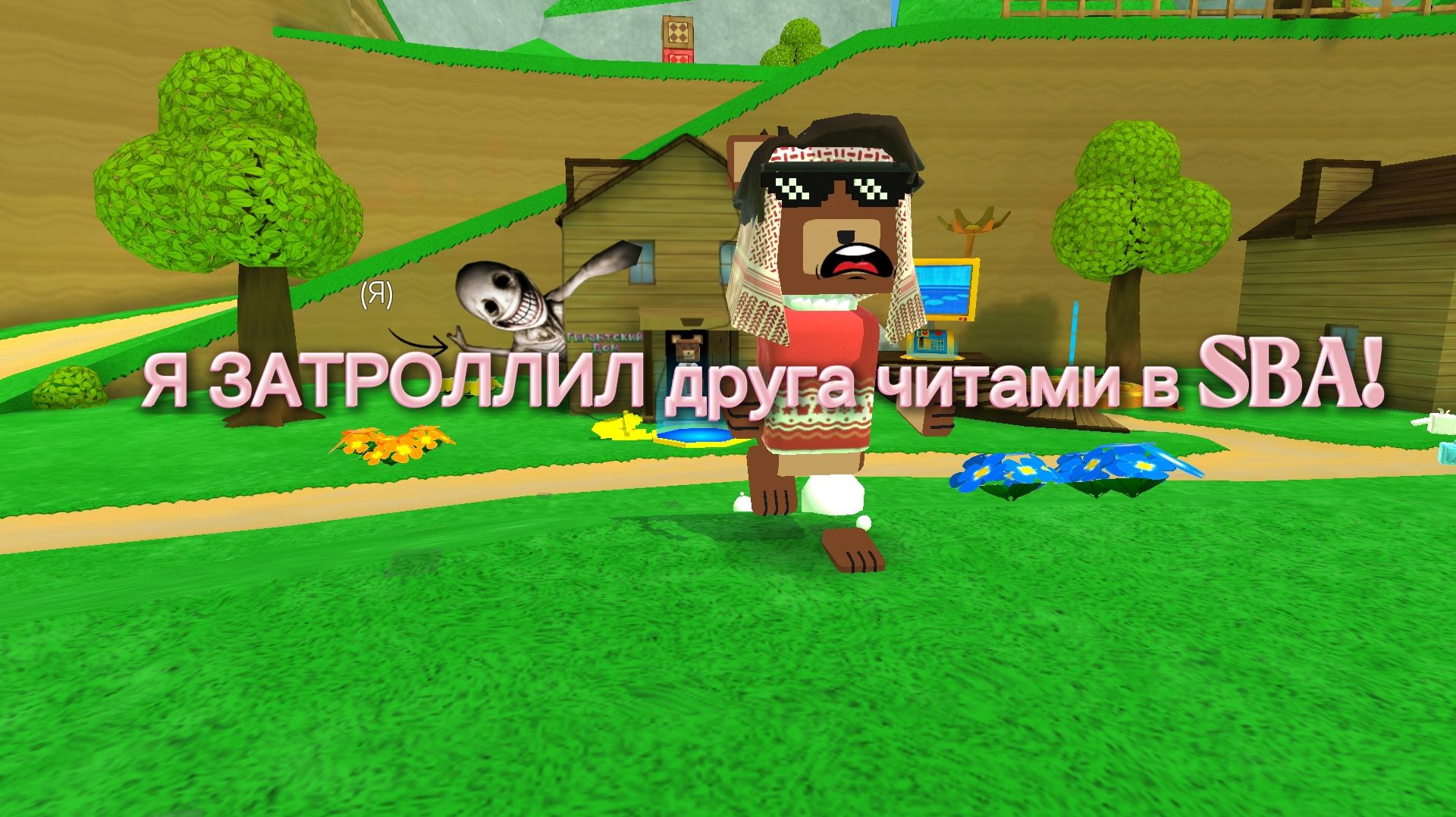 Я ЗАТРОЛЛИЛ друга ЧИТАМИ в SBA!