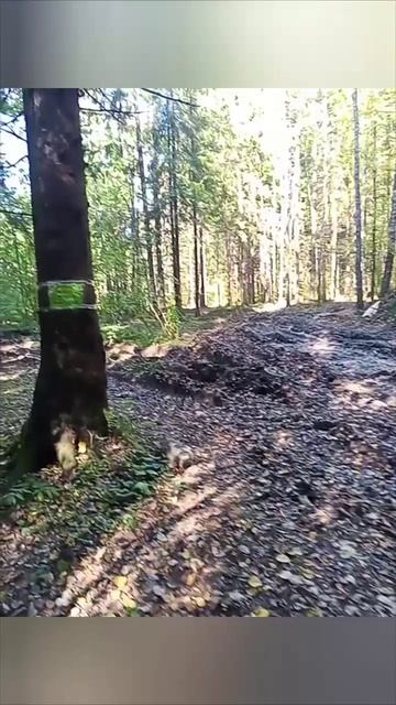 Дорога-это жизнь
