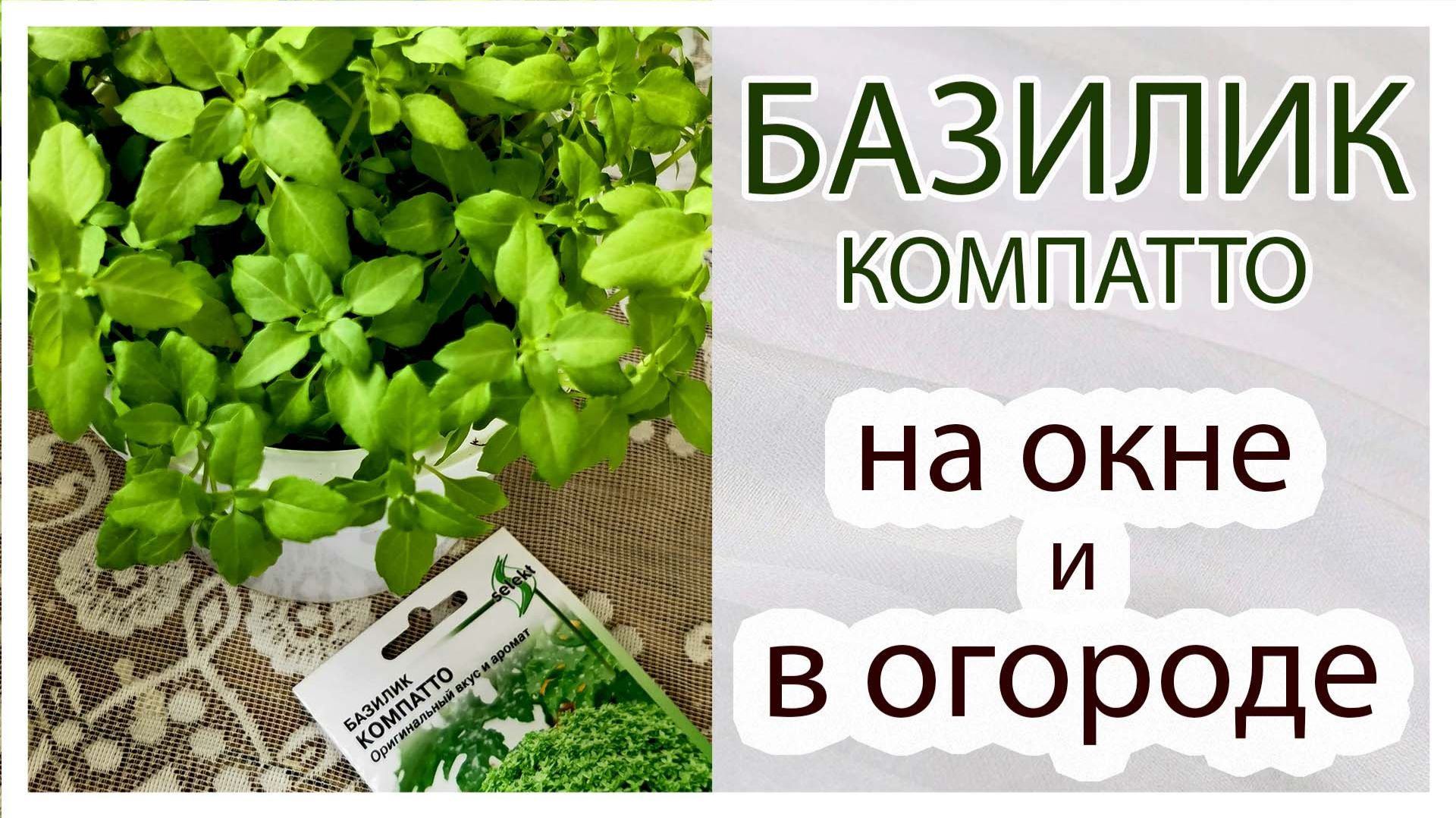 Наш сад-огород и хозяйство