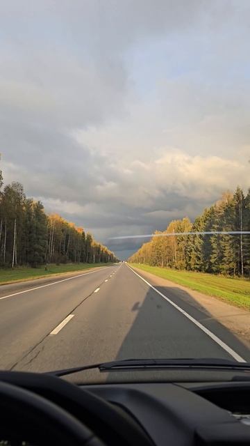 ✨️В дороге🚚красивые🛣виды🌞🌳на трассе🌲#вдороге #трасса #костромскаяобласть #ярославль #кострома