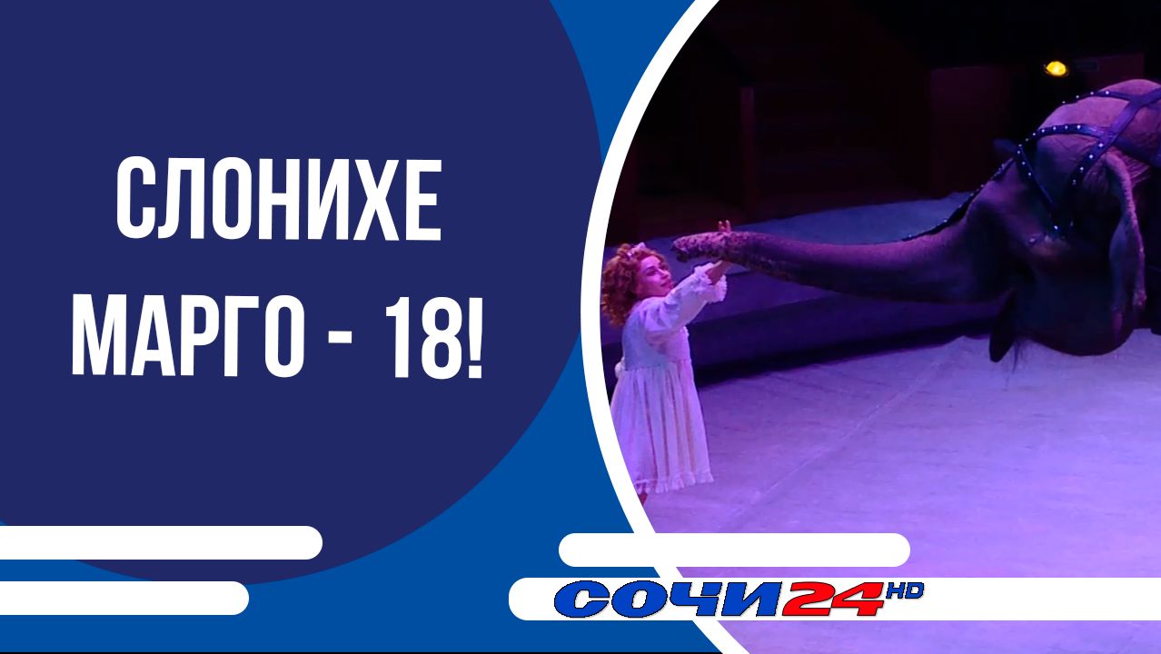 НОВОСТИ АКТУАЛЬНОЕ