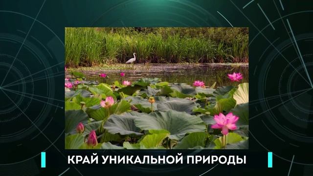 Интервью