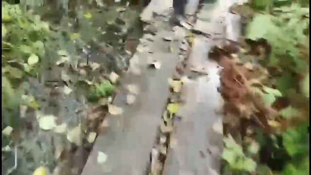 Спускаемся в болото по тропе Ивана Сусанина
