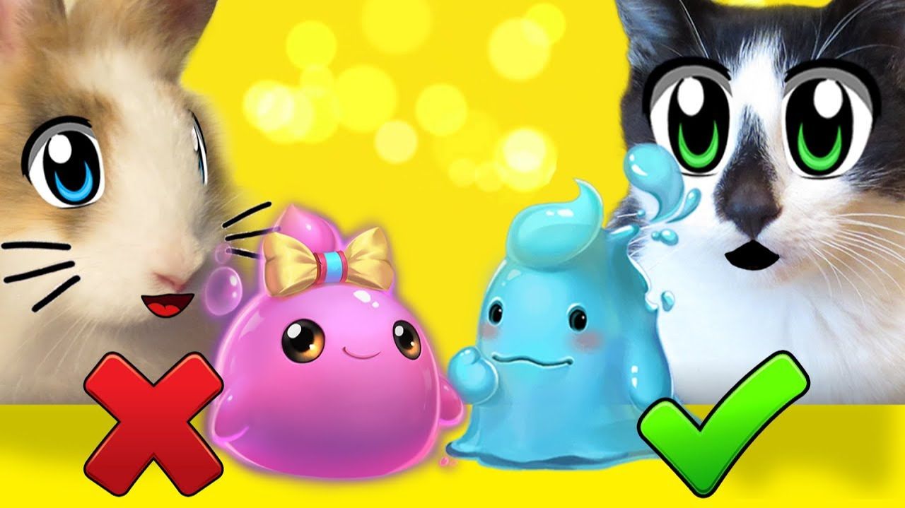 ЛИЗУН ЧЕЛЛЕНДЖ! КРОЛИК БАФФИ и КОТ МАЛЫШ делают СЛАЙМ! новый SLIME CHALLENGE! ЛИЗУНЫ СВОИМИ РУКАМИ