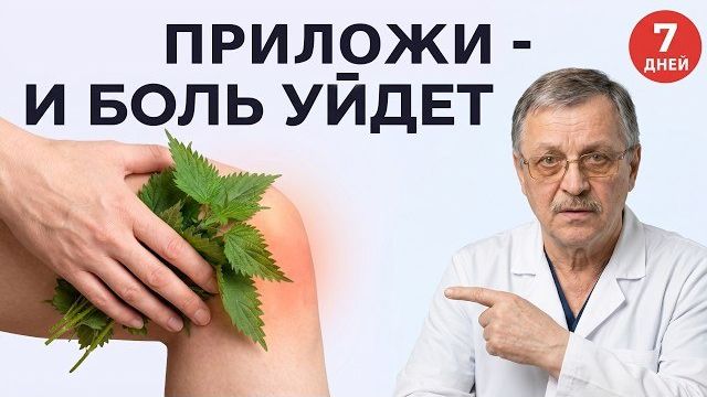 Крапива от Артроза Что Скрывали 2000 Лет