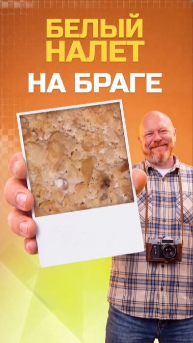 Белый налёт на фруктовой браге. Это плесень или...