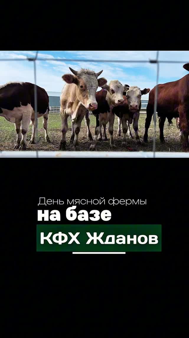 День мясной фермы в КФХ Жданов | Agrobook