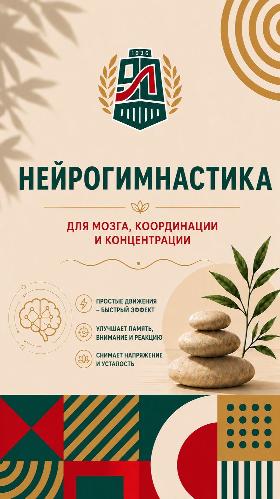 🧠 Нейрогимнастика: зарядка для мозга и тела