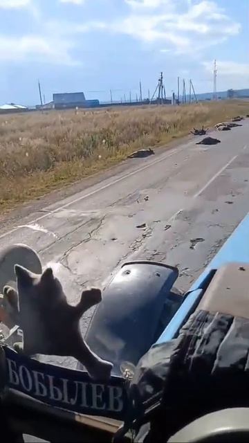 ПОЛИТИКА