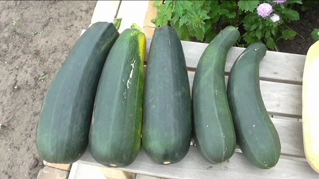 кабачки
