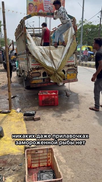 А вы смогли бы так?