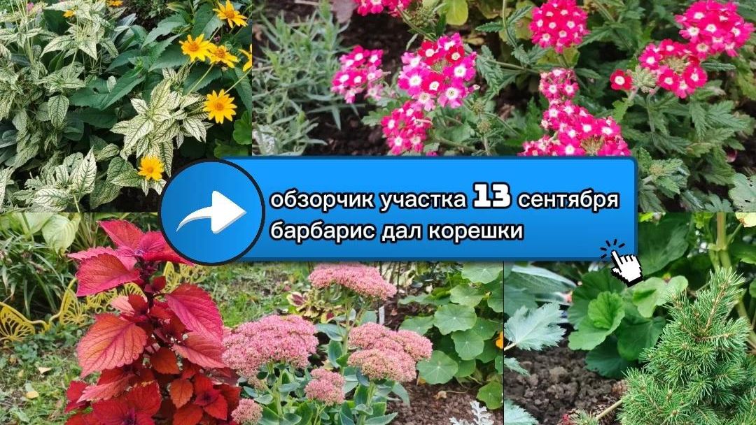 Наша дача