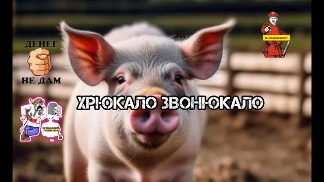 ХРЮКАЛО ЗВОНЮКАЛО💥💥💥