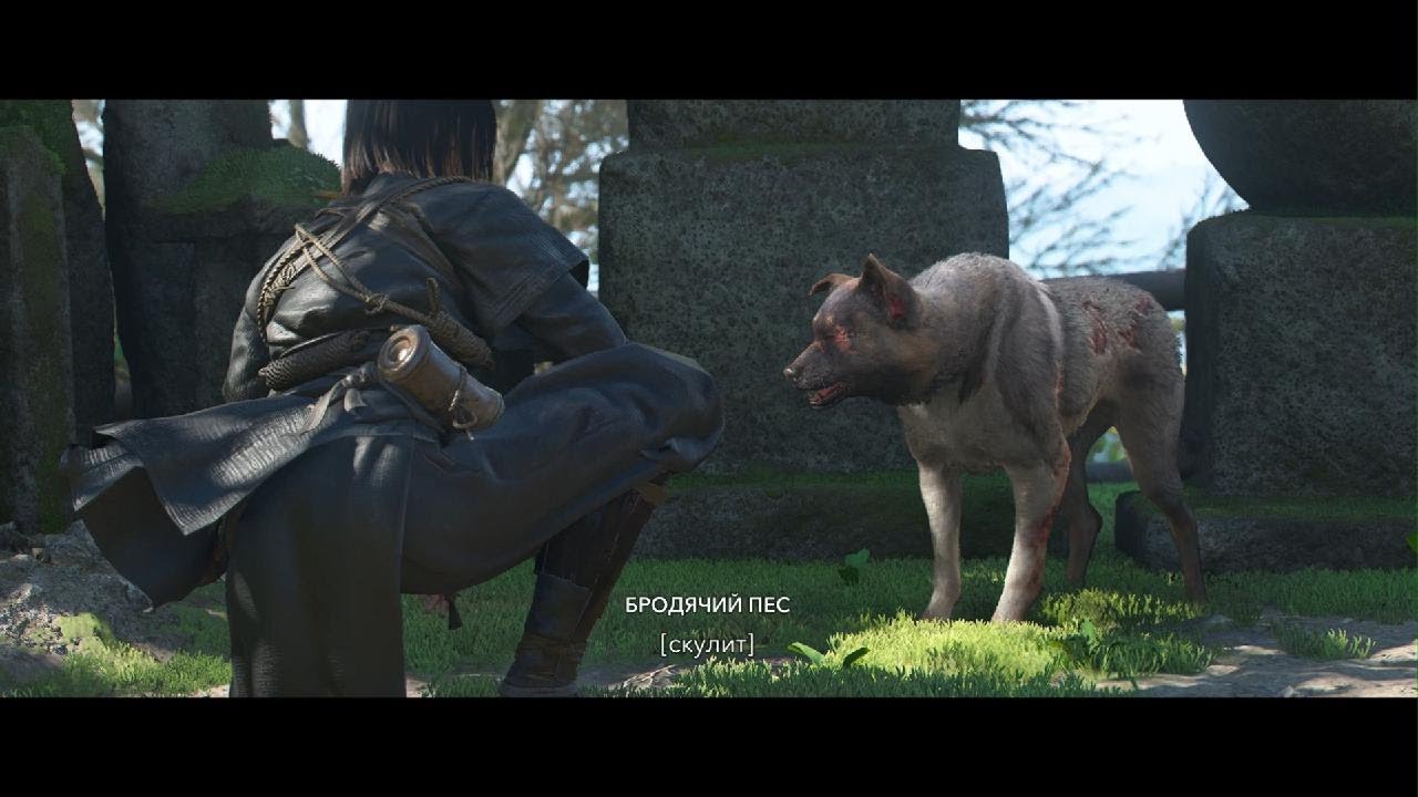 Assassin's Creed Shadows - Задание Погладить собаку. Найти Ключ.