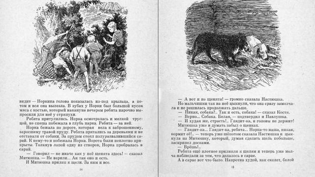 Норкина тайна. С. Златоврацкая