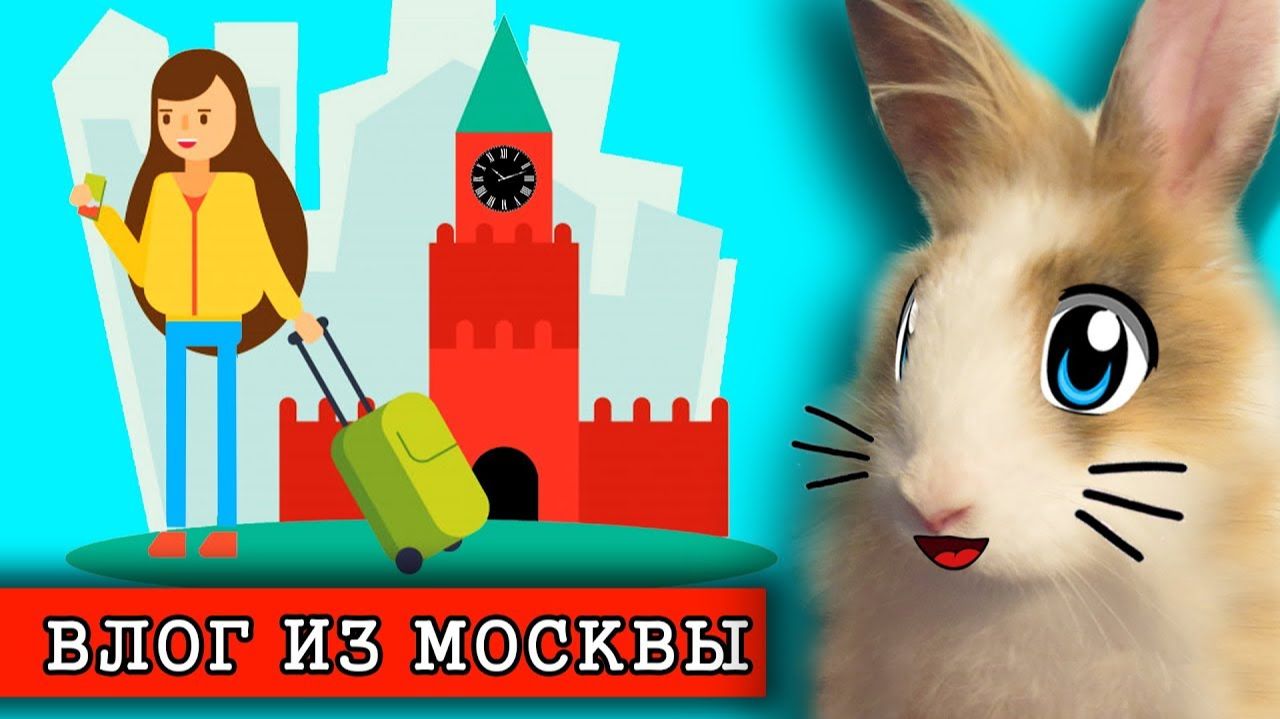 КОТ и КРОЛИК БАФФИ смотрят ПРИКЛЮЧЕНИЯ В МОСКВЕ! Мой ДЕНЬ на КАНИКУЛАХ или MY Holiday Routine
