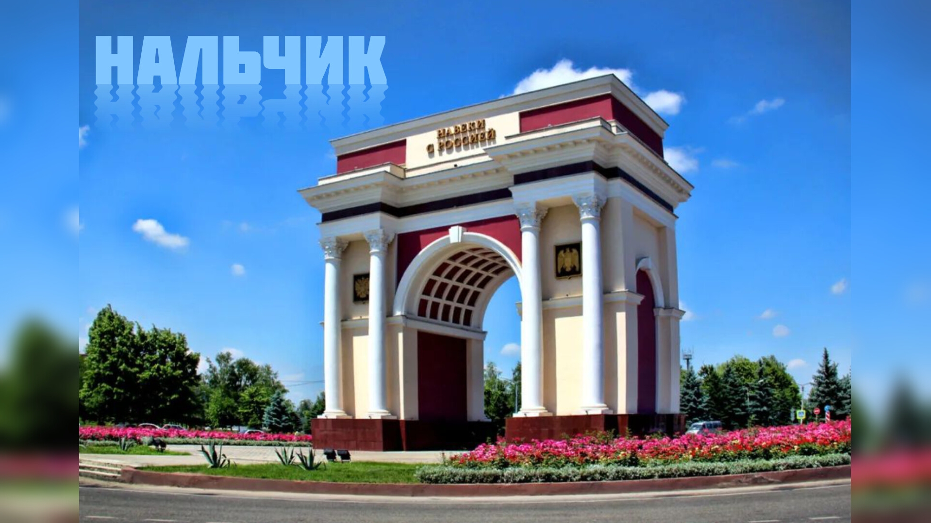 Приключения McMeow