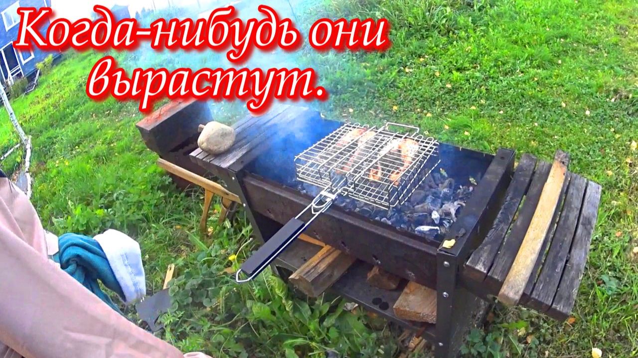 Собака-воришка: Как наша собака украла камеру во время заготовки сена. Влог