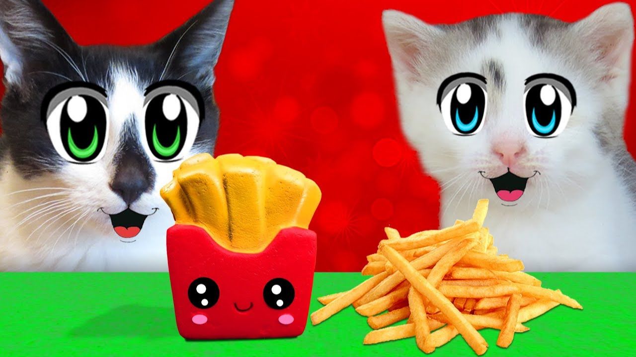 АНТИСТРЕСС VS ЕДА ЧЕЛЛЕНДЖ! КОТ МАЛЫШ и КОШЕЧКА МУРКА и Squishy Food VS REAL FOOD CHALLENGE