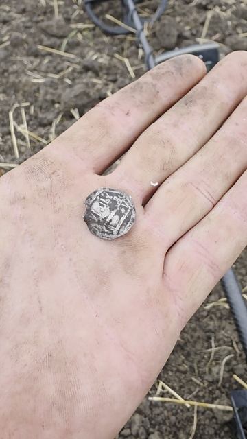 Ради этой находки приехали копать!