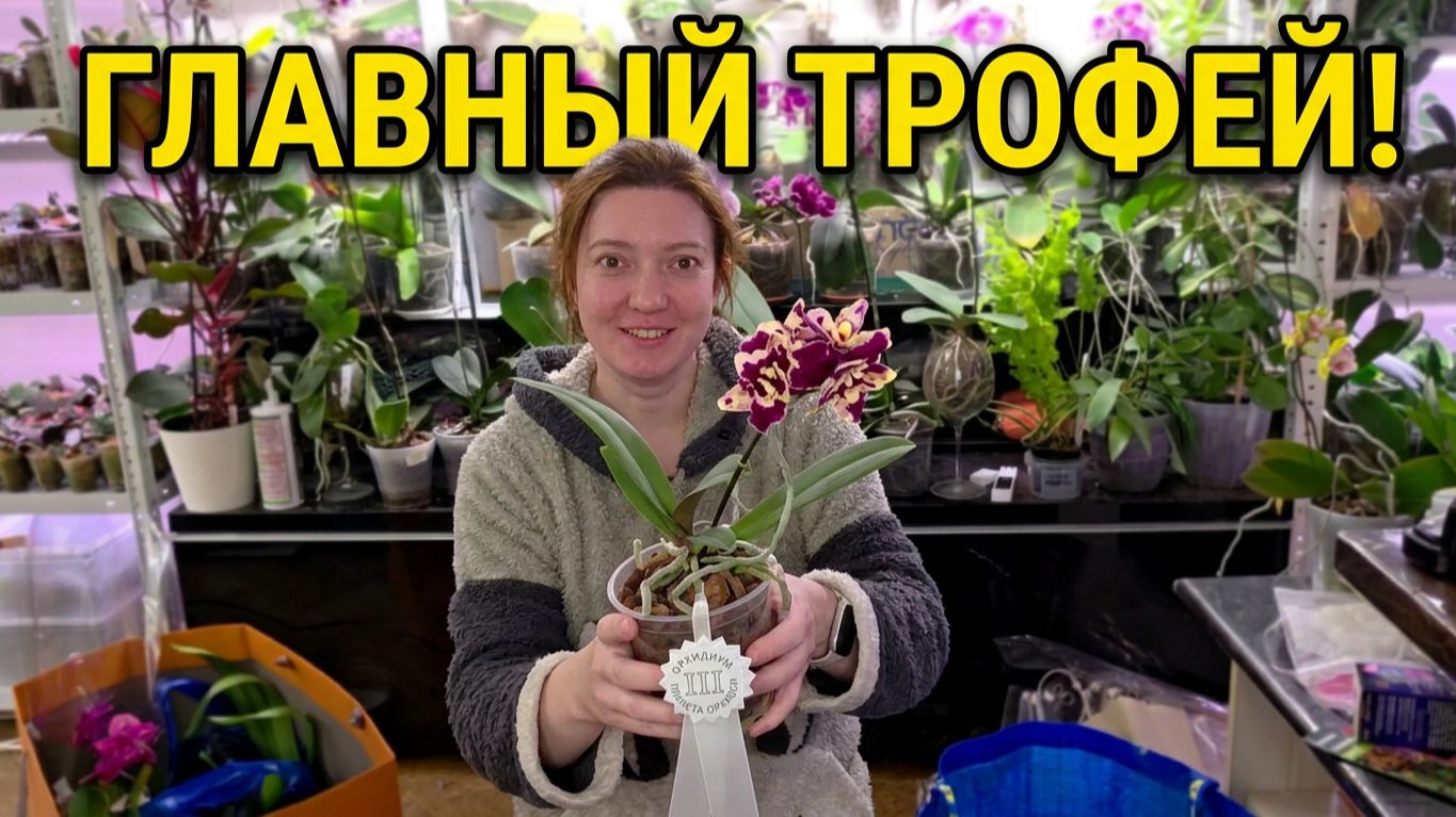 Посылки и Распаковки