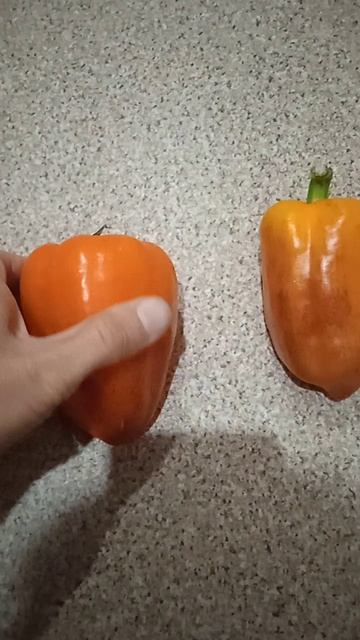 Оранжевый перчик