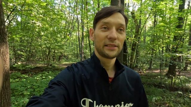Тренировки, о тренировках и прочее