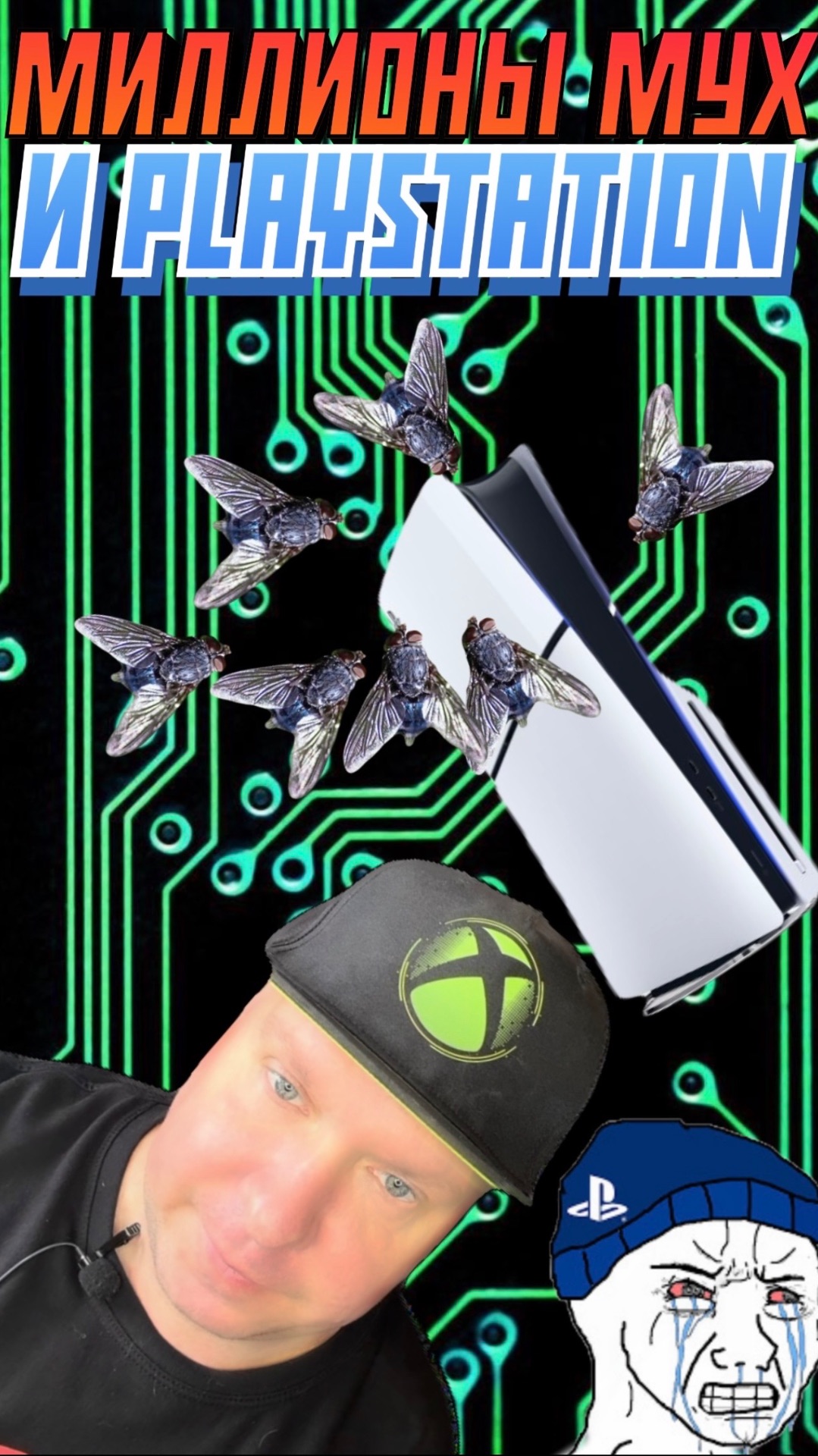 МИЛЛИОНЫ МУХ и PLAYSTATION