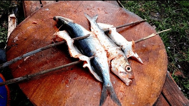 Жарим Рыбу на Углях 🐟🔥