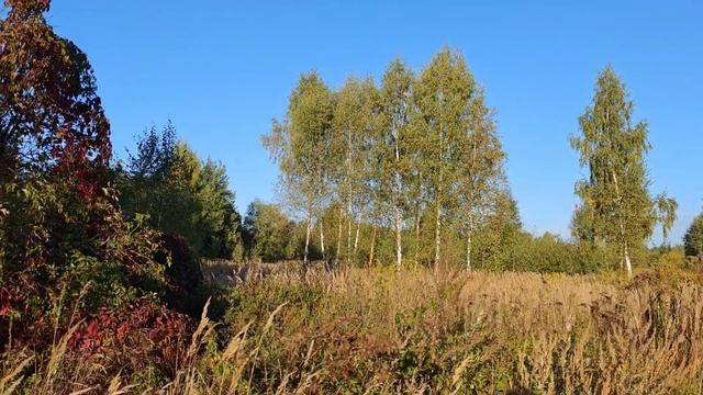 Сентябрьская прогулка