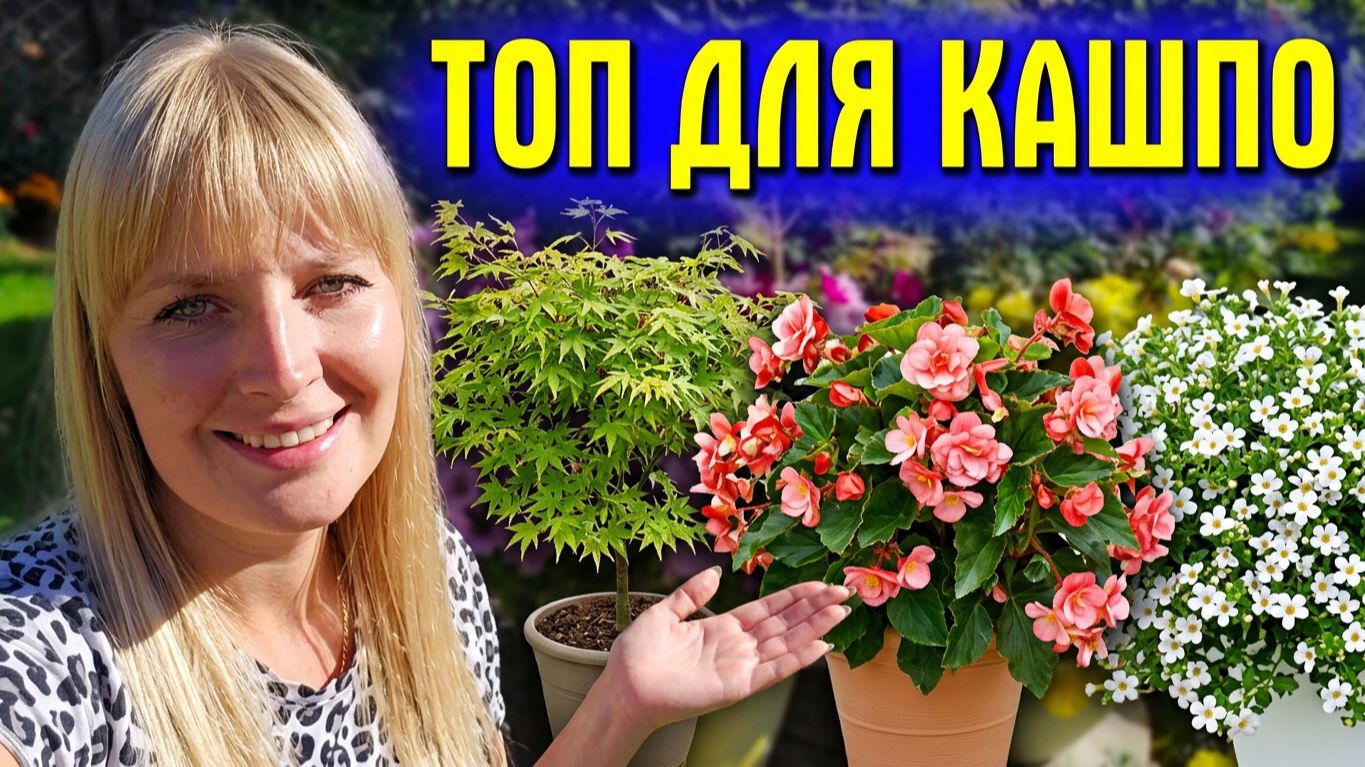 Многолетние цветы. Выращивание без хлопот