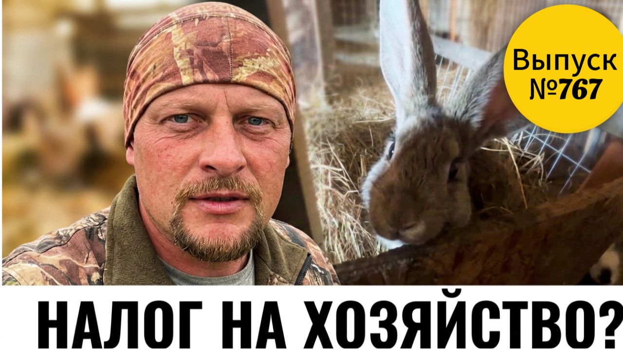 Что они опять придумали!? Зачем начали переписывать курей и кроликов!