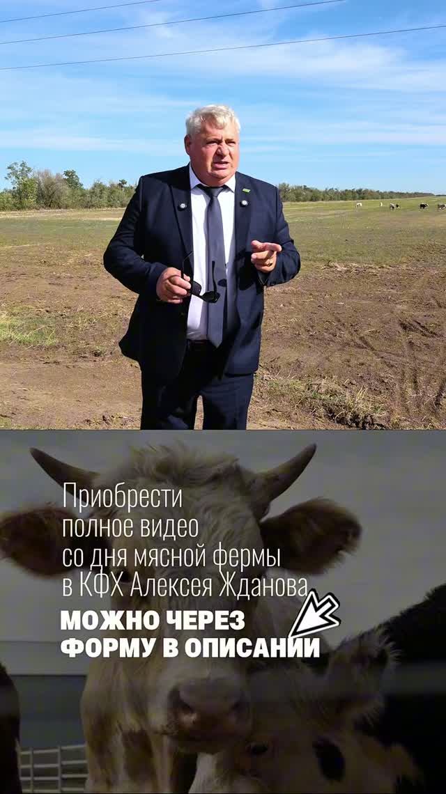 День мясной фермы в КФХ Алексея Жданова | ВИДЕОЗАПИСЬ | Agrobook
