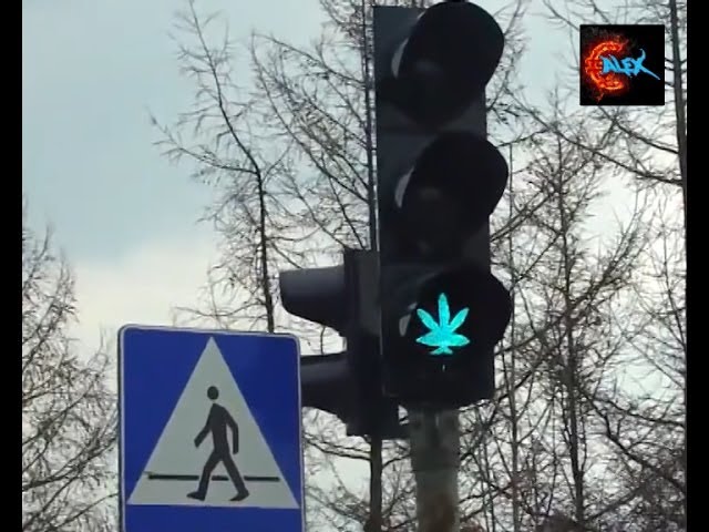 Современный светофор Смешные видео - Modern Traffic Lights Funny Videos