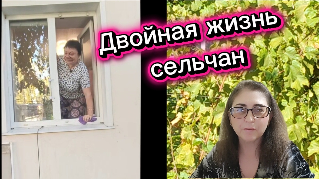 ПАмидора моет окна 🤣видео из ВК