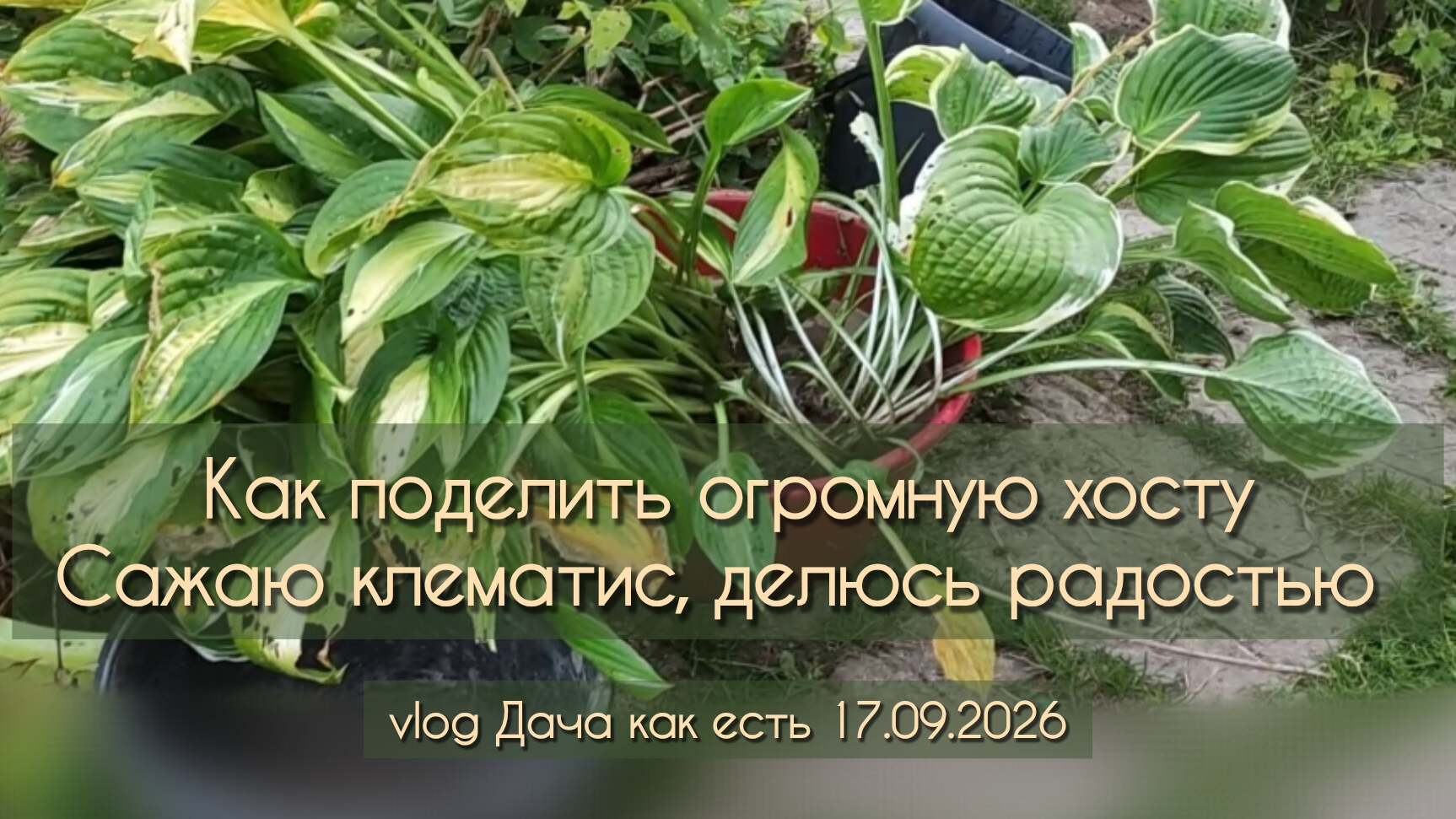 Дача как есть 2026