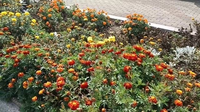 О Китае и работе в Китае 15-09-2026