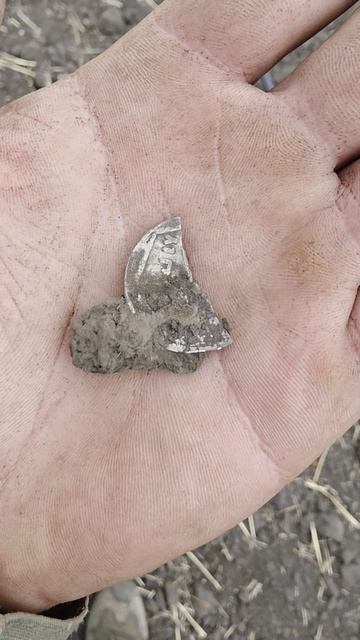 Камрад нашёл крутую находку 🤩