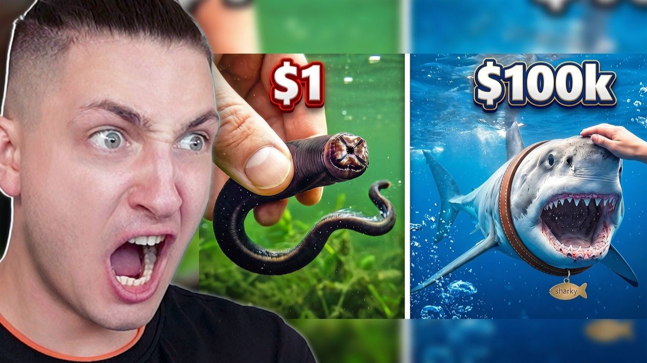 Аквариумная рыбка за $1 VS $100 000! - реакция Градуса и Вазачки