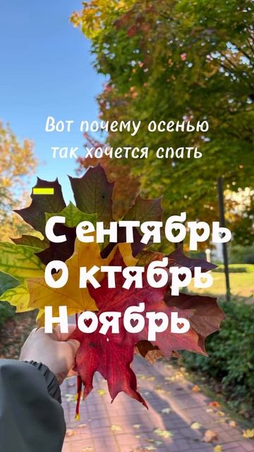 Вот почему осенью хочется спать