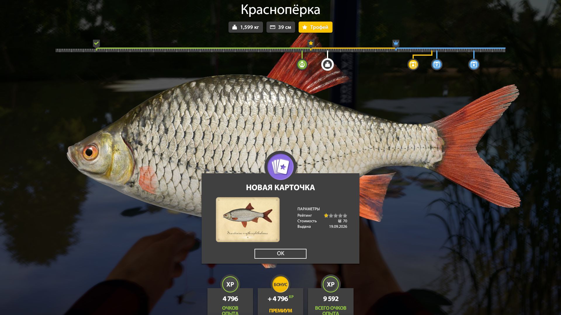 РР4 СУРА ТРОФЕИ