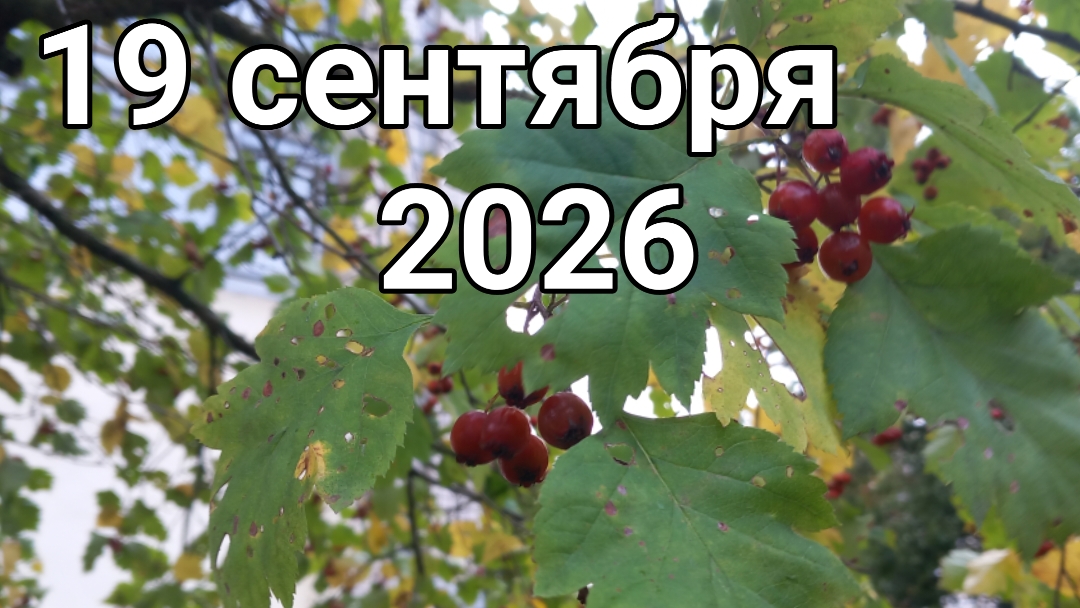 19 сентября 2026. Сентябрьские делишки...