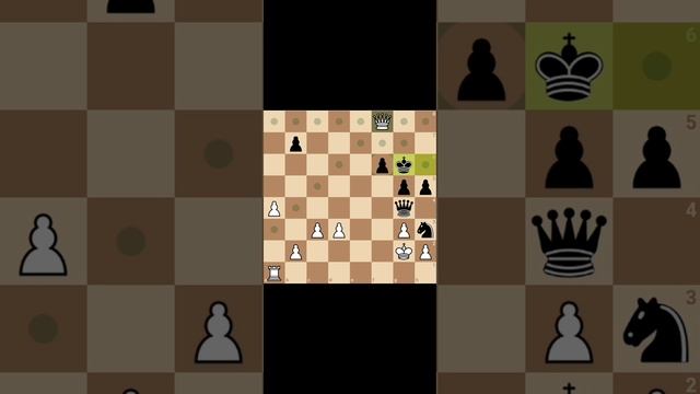 Сборник шахмат #1