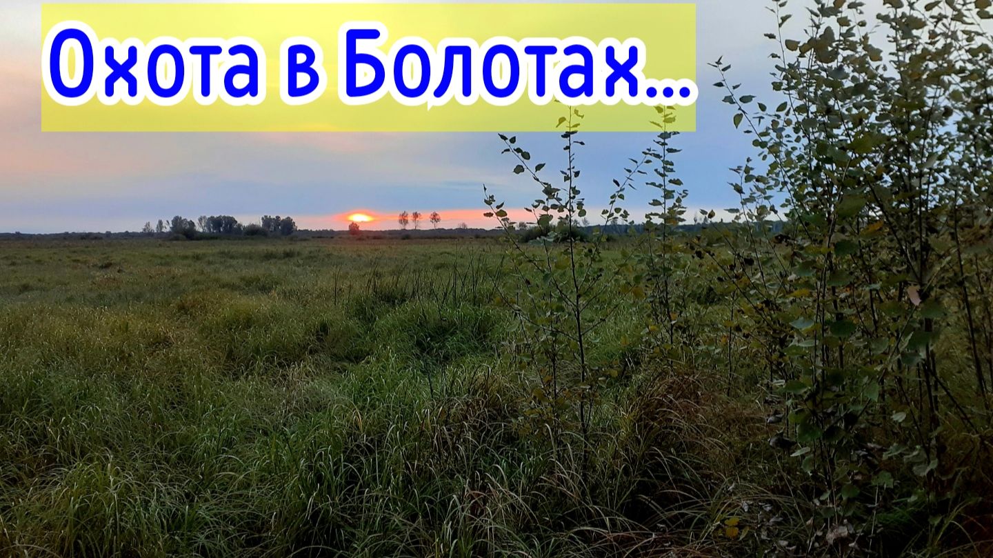 Охота, природа Сибири.