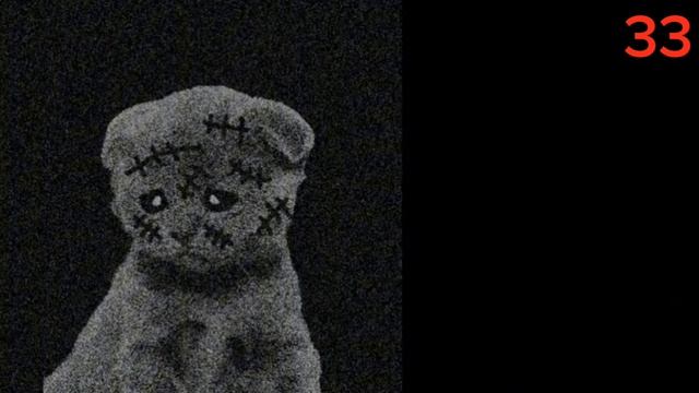 Любые Лица Котиков (все расширки)