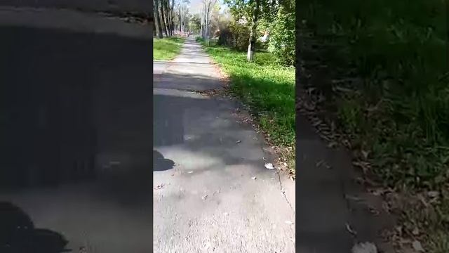дневной Стрим всем привет