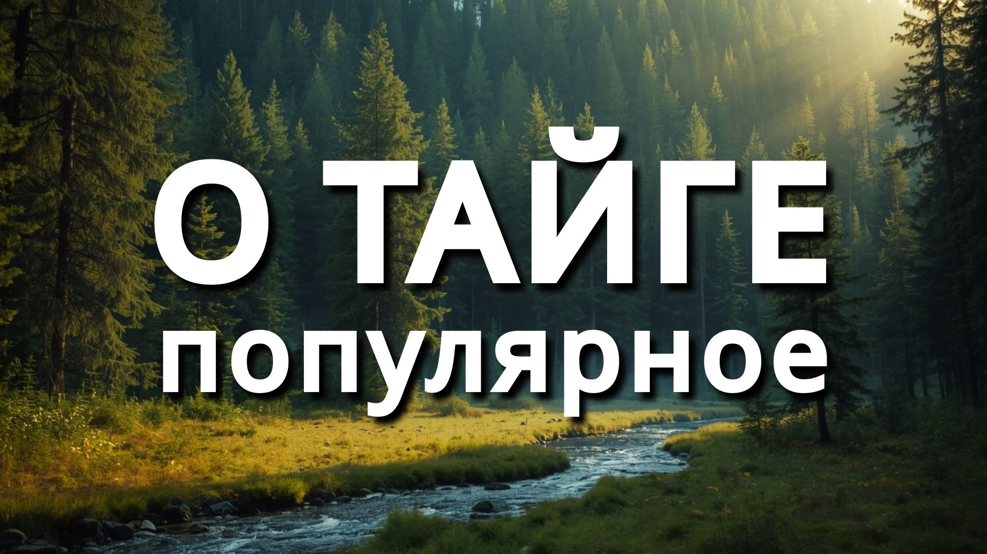 Таёжные рассказы. СБОРНИК