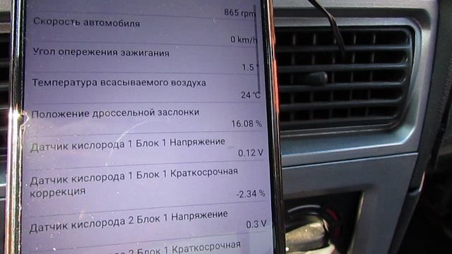 MVI_7352