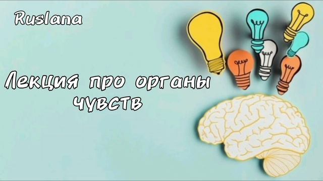 Органы чувств. Лекция.