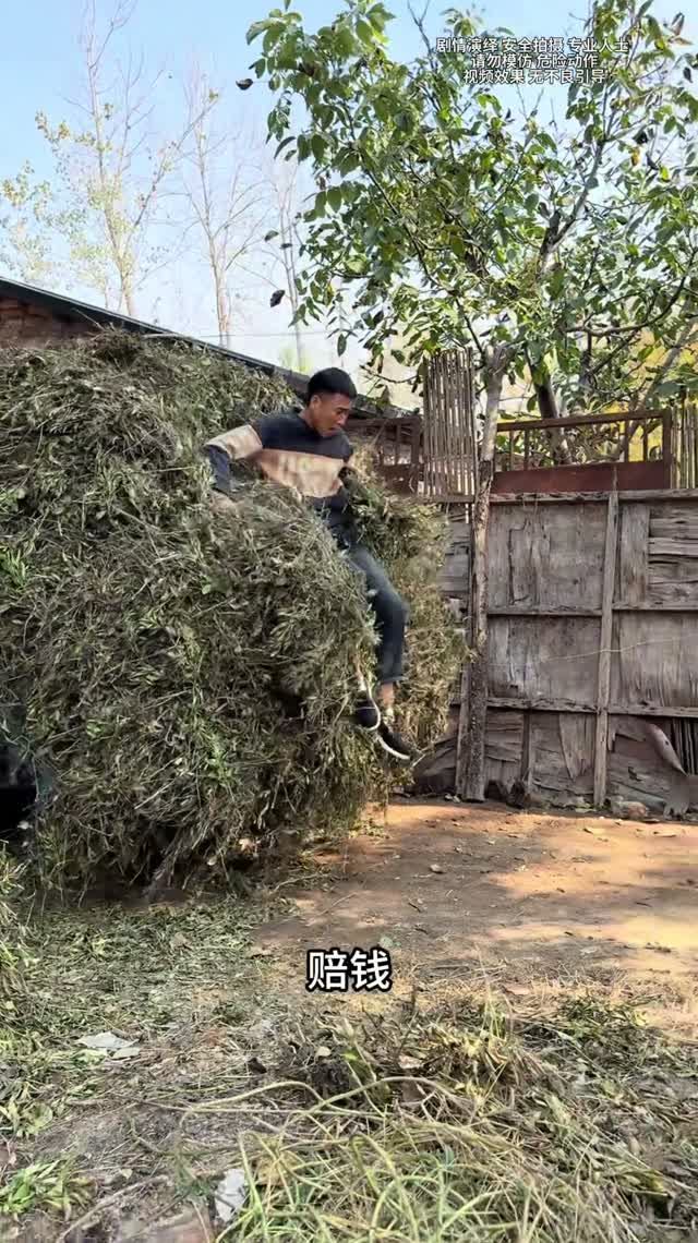 Неожиданные и смешные моменты из жизни